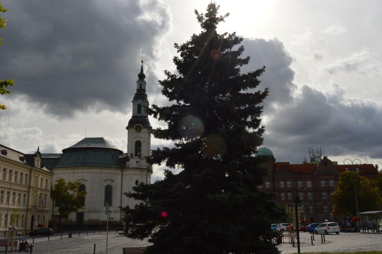 Vila Lipa Nový Bor Buitenkant foto