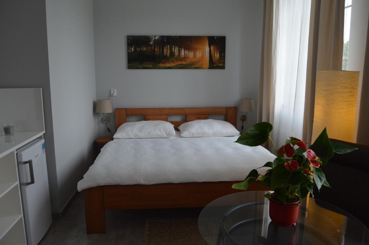 Vila Lipa Nový Bor Buitenkant foto